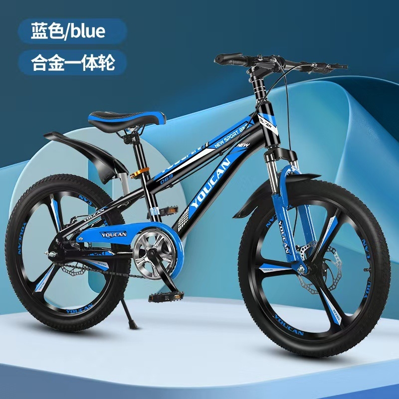 Bicicleta de Montanha Estilo P - Quality Cycling Gear avaliação e preço