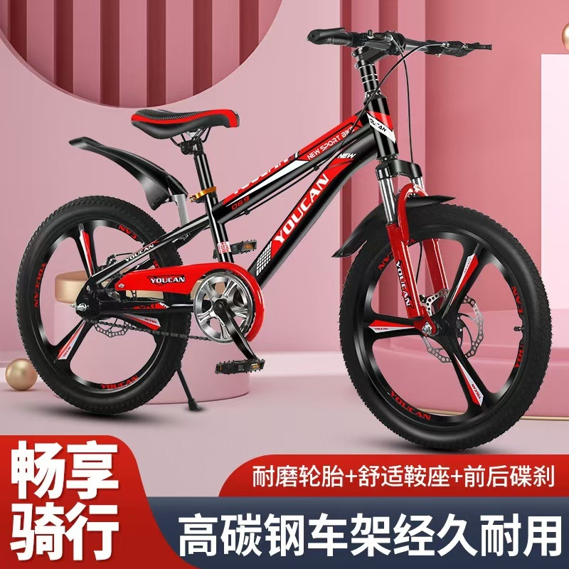 Bicicleta de Montanha Estilo P - Quality Cycling Gear avaliação e preço
